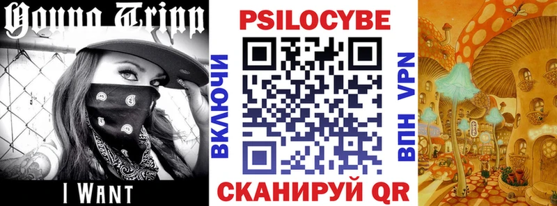 Псилоцибиновые грибы прущие грибы  Купить  Почеп 